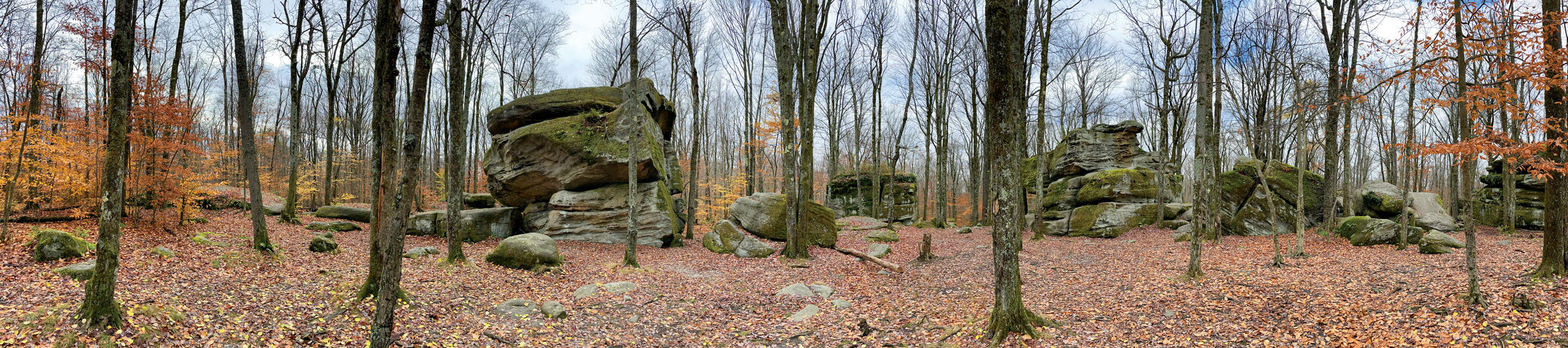 Thunder Rocks at Allegany State Park